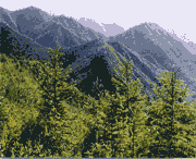 西和后天天气